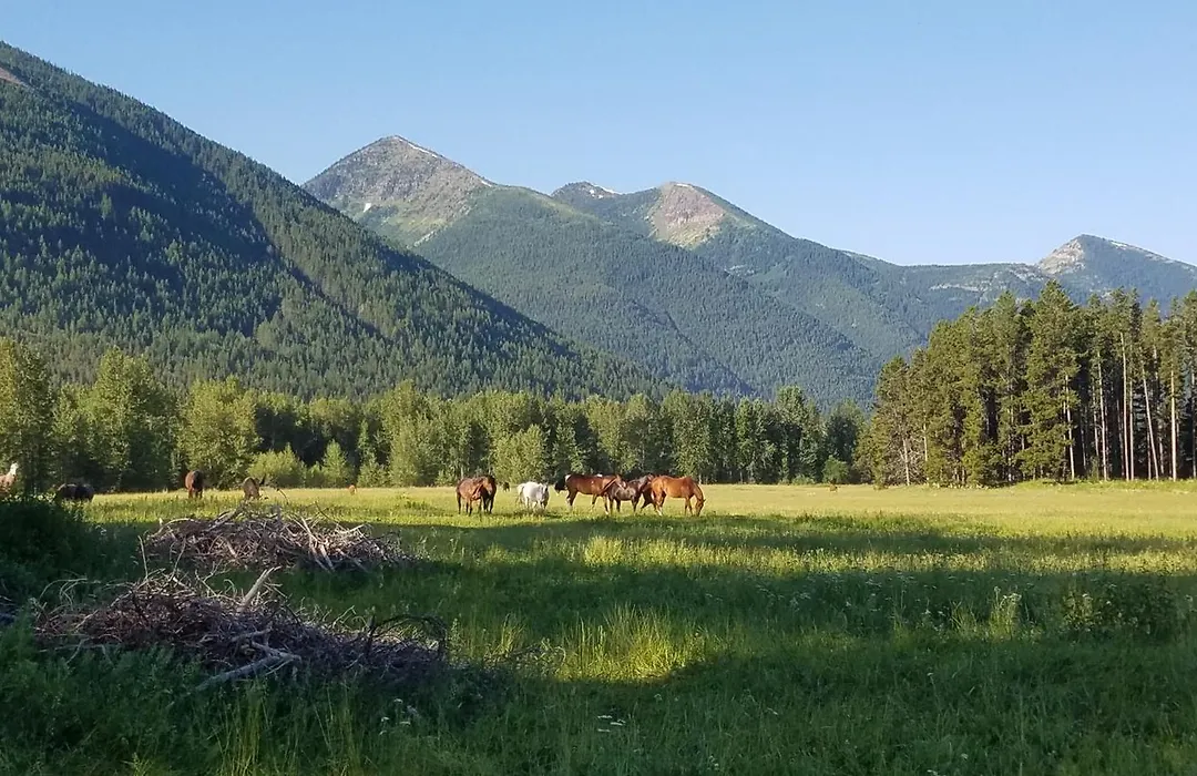 Bear Creek Ranch Bed & Breakfast-1